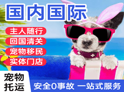舟山普陀山航空货运国际宠物托运 【国